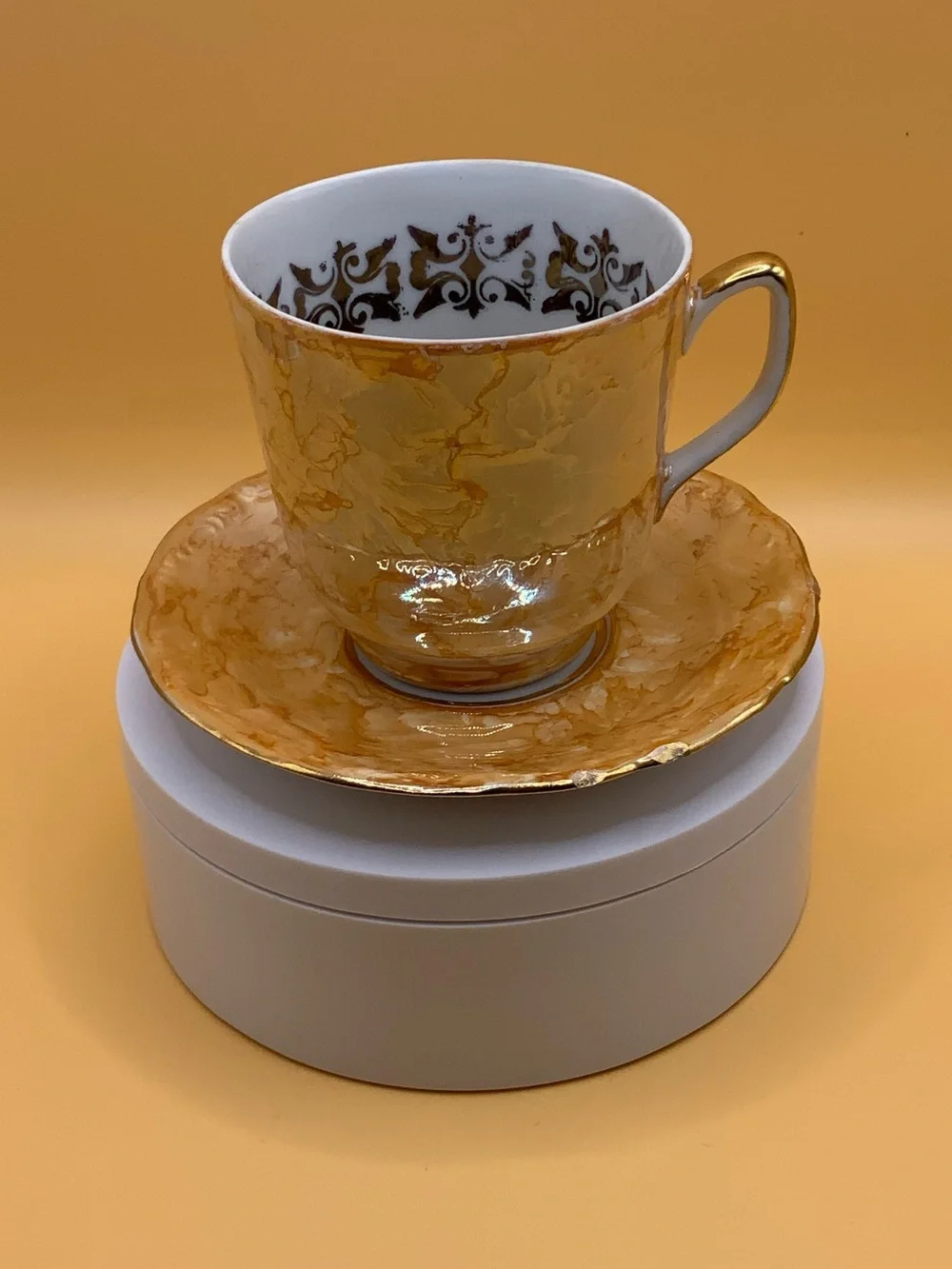 Walbrzych Porcelain Cup & Saucer (1246)